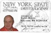 Driver License translation. 