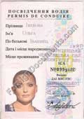 Ukrainian Driver License translation