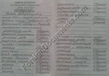 Ukrainian transcript translation