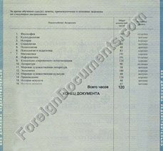 transcript translation