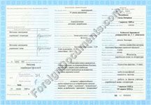 Translation of Addendum to Russia Diploma