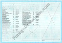 transcript translation