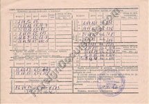 Translation of Russia Immunization Card