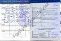 Immunization Certified translation