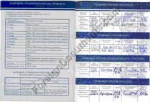 Certified Russian translation of vaccination card