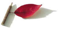 Non-certified Russian and Ukrainian translation of personal letters, dating letters, personal correspondence